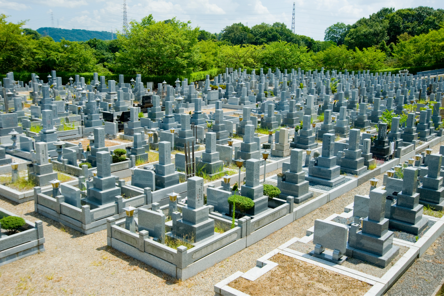 区画がすべて埋まる